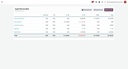Financial Reports for Odoo Community - screen 3
